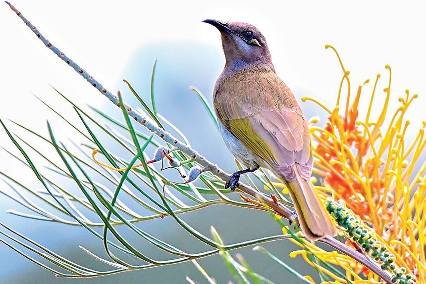 Showcasing our natural beauty