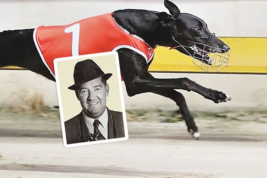 Vince Curry Memorial Final favourite Elisheba clears out to win her semi-final in the fastest time of all the finalists. [INSET: Race caller Vince Curry]