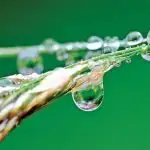 VALUE OF WATER : Drought one day, flood the next. Despite the weather at the moment it’s a good idea to think about how you collect and use water. PHOTO: PEXELS