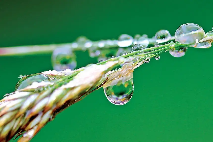 VALUE OF WATER : Drought one day, flood the next. Despite the weather at the moment it’s a good idea to think about how you collect and use water. PHOTO: PEXELS