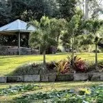 TAKE A PICNIC: The Kholo Gardens is a great place to go for a family day out.