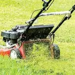 NO CATCHER: Sometimes its a good idea to allow the grass clippings to mulch into your lawn. PHOTO: PEXELS