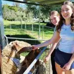 WELL HELLO: Aisland and Niamh Hooper enjoyed getting up close and personal with the sheep at the Towri Sheep Dairy.