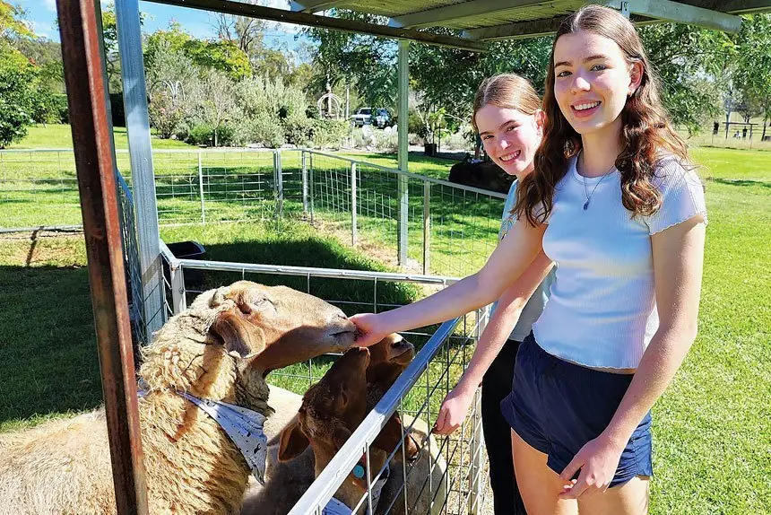 WELL HELLO: Aisland and Niamh Hooper enjoyed getting up close and personal with the sheep at the Towri Sheep Dairy.