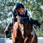 CLEAR ROUND: The action in centre ring never faltered with competitors coming from near and far to compete for trophies and ribbons.
