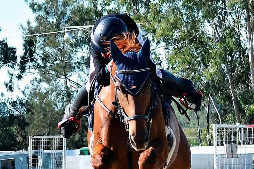 CLEAR ROUND: The action in centre ring never faltered with competitors coming from near and far to compete for trophies and ribbons.