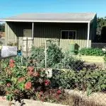 Community gardens share the love