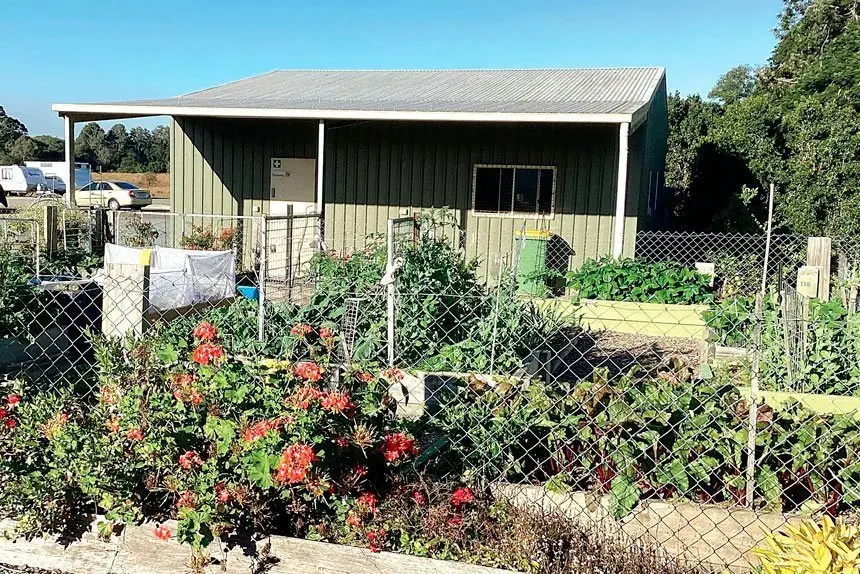 Community gardens share the love
