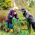 CARE: Gardens are great, but if you leave them to fend for themselves for a few months you may find you have a lot of work on return.
