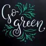 Paving the way for a green Ipswich