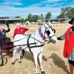 Graham Ross has been a regular entrant at the show for more than 60 years. He is joined by judge Pam Fisher and official Pat Lenihan.