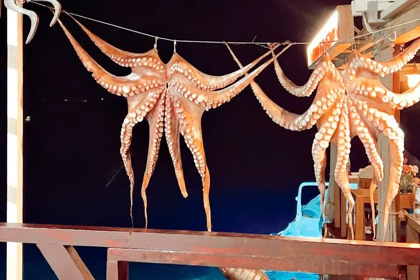 FINAL DAYS: Squid on display at Ammoudi Fish Tavern, cocktails at sunset and a yacht trip on the Mediterranean made the final leg of a European holiday just perfect.