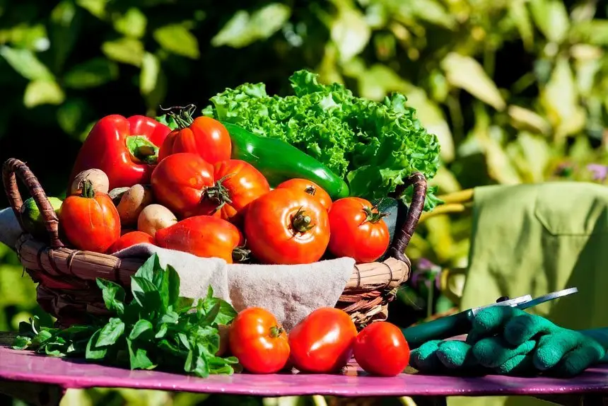 Tricks behind growing vegetables