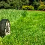 Ipswich embraces electric mowers