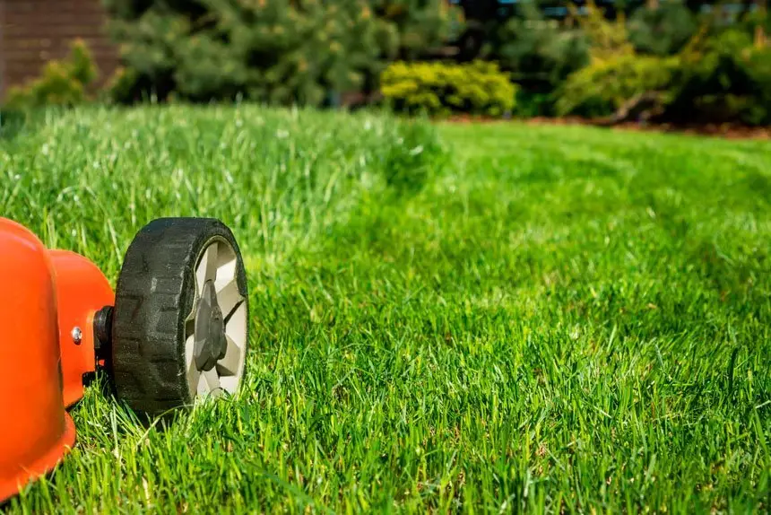 Ipswich embraces electric mowers