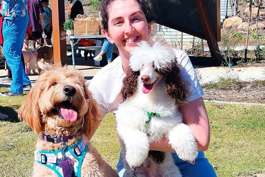 Sam Bayly of Springfield with her groodles Maple Syrup and Obi.