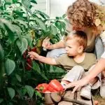 Did you learn from your vege mistakes?