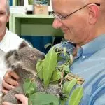 HELPING HAND: Shayne Neumann has welcomed funding to protect local Koala habitats.