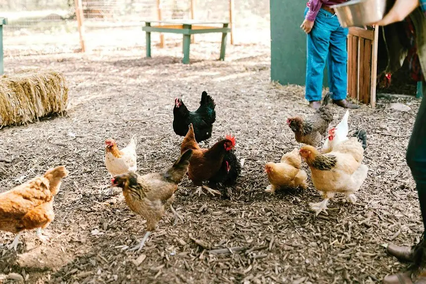 Be prepared to battle pests