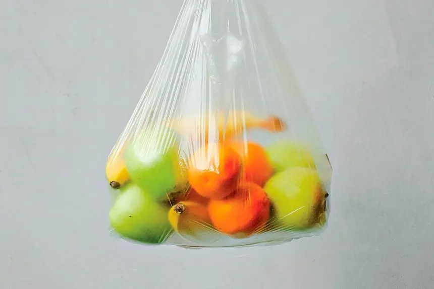 Waste provides food for thought