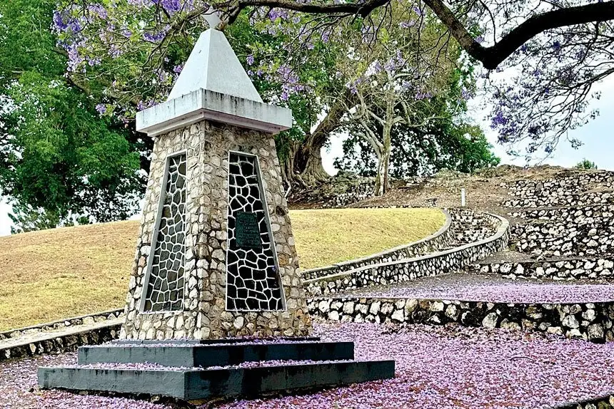 LAST BLOOM: Jacarandas bring their colour to the city.