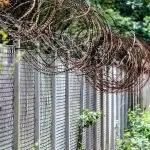 Movie proves a great grower