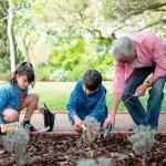 Get kids involved in growing