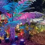 Nicholas St brings some seasonal sparkle.