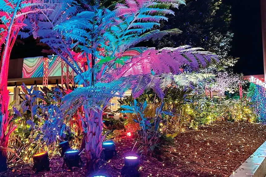 Nicholas St brings some seasonal sparkle.