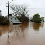 Fifty years ago this year