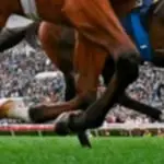 Maiden win for young trainer