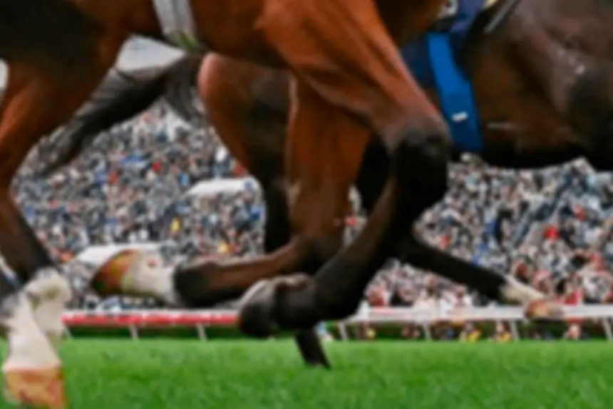 Maiden win for young trainer