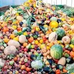 Boost for citywide FOGO plan