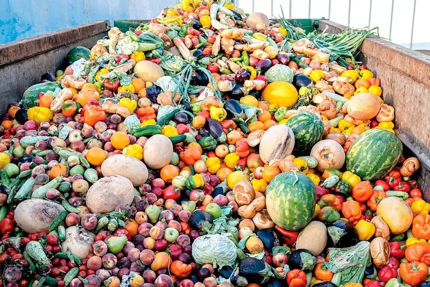 Boost for citywide FOGO plan