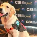 Digger - the very smart pup.