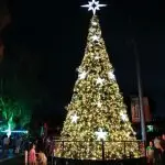 The Ipswich Christmas program achieved sparkling results.