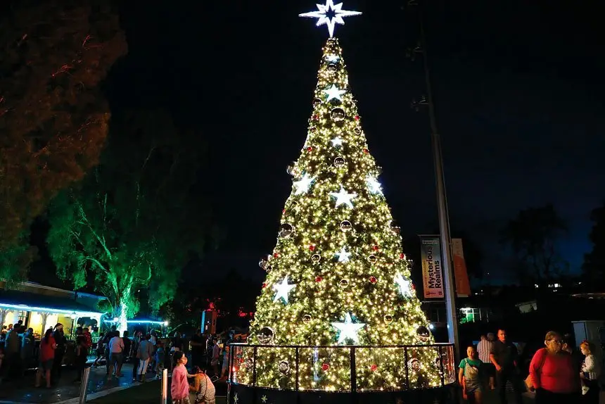 The Ipswich Christmas program achieved sparkling results.