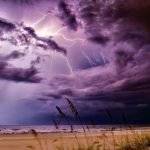 The REIQ fears that insurance premiums will become unaffordable for more Queensland homeowners