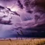 The REIQ fears that insurance premiums will become unaffordable for more Queensland homeowners