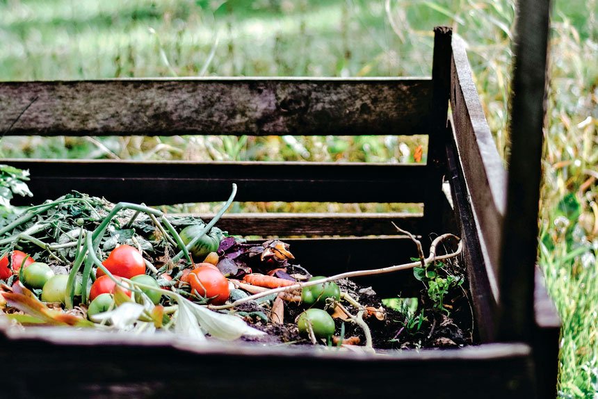 The cost of additional bins has caused concern among some residents.