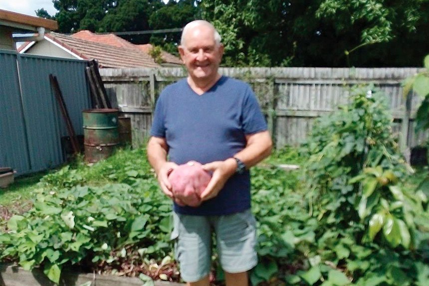 Stanley Dick with the unusually big Sweet Potato.
