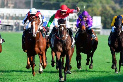 Festival gets into stride