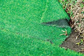 Artifical grass has many advantages over real grass, but also a number of disadvantages.