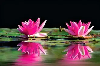 Death is confronting but it’s important to find the time to share final wishes with loved ones.