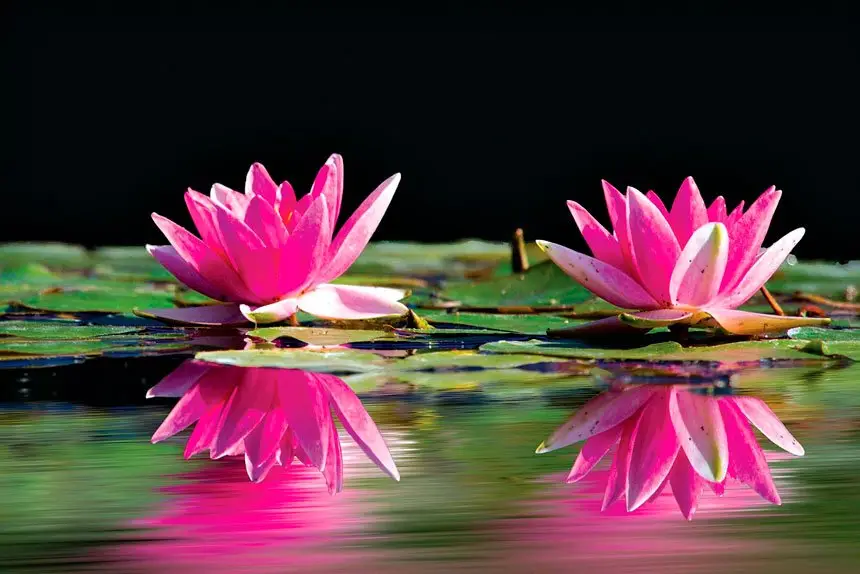 Death is confronting but it’s important to find the time to share final wishes with loved ones.