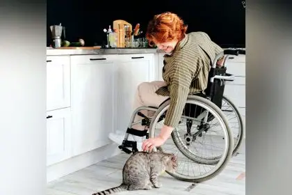 Queensland is developing a Disability Stakeholder Engagement and Co-design Strategy.