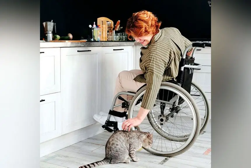 Queensland is developing a Disability Stakeholder Engagement and Co-design Strategy.