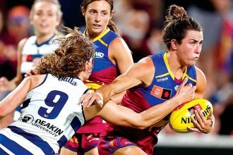 Cats pounce on the Lions winning streak