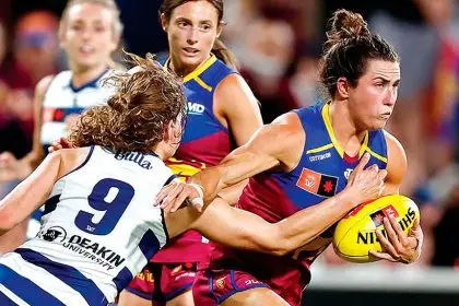 Cats pounce on the Lions winning streak