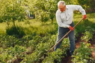 Cutting back your jobs as aging takes its toll